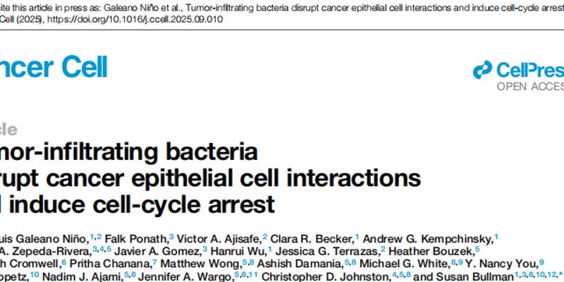 结直肠癌化疗耐药新机制:肿瘤细菌竟通过“物理挤压”让癌细胞休眠