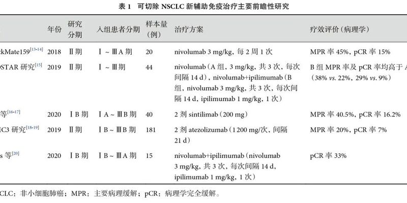非小细胞肺癌免疫治疗新篇章:新辅助与辅助方案如何提升手术成功率与生存期?
