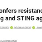 破解STING激动剂耐药难题：MTAP缺陷成关键靶点，新联合疗法或可激活抗癌免疫