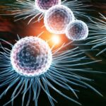 达沙替尼新剂型治疗CML/ALL：临床数据优异，为何上市申请屡屡碰壁？