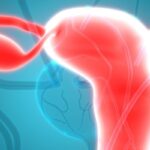 卵巢颗粒细胞瘤治疗后并非高枕无忧：一例15年后肝转移病例的警示