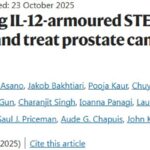 前列腺癌新希望：改良CAR-T疗法利用IL-12“精准制导”，显著提升疗效并降低毒性