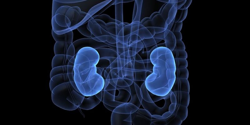 呋喹替尼联合疗法显著延长晚期肾细胞癌PFS至22.2个月，二线治疗迎新突破