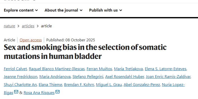 膀胱癌风险新发现：吸烟与性别如何筛选“癌前细胞”？