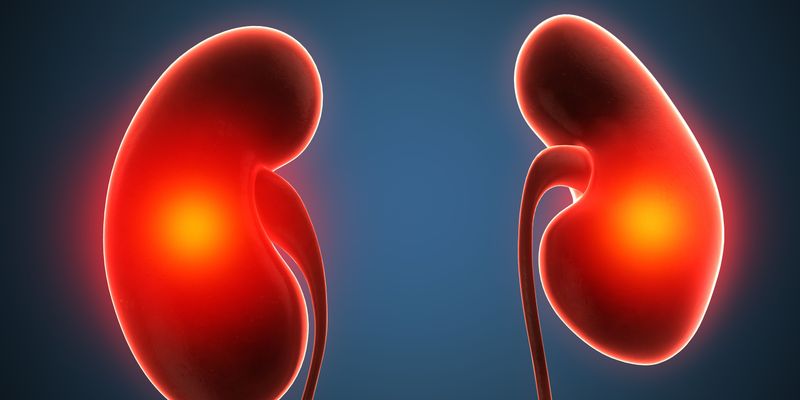晚期肾癌治疗新希望：Casdatifan单药疗法临床研究数据公布，总缓解率达31%