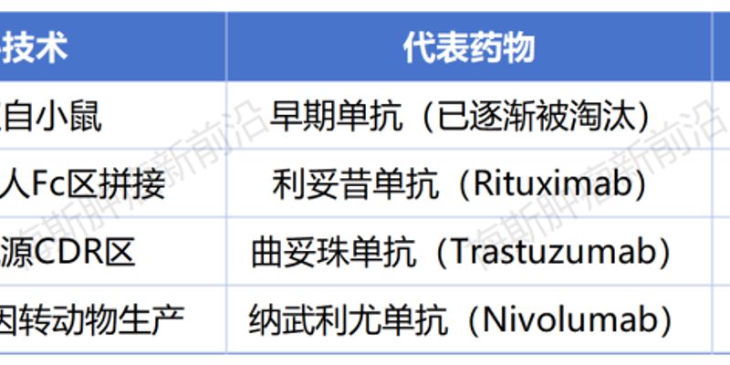 曲妥珠单抗、利妥昔单抗:看懂药名中的“珠”和“昔”,轻松识别靶向药