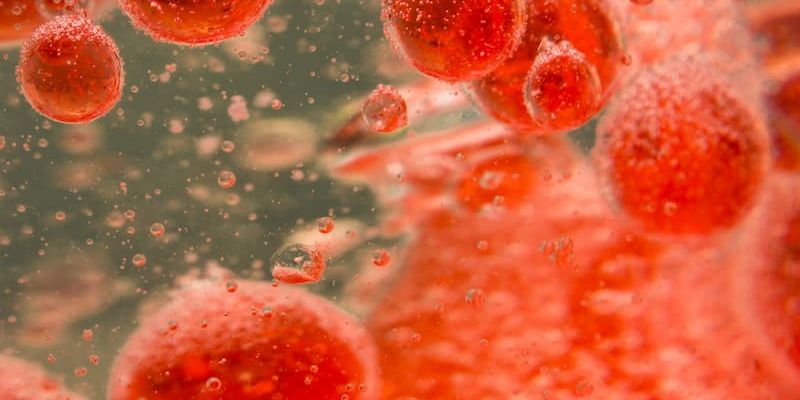 缓解率达75%!ADC新药Pivekimab Sunirine有望获批用于BPDCN治疗