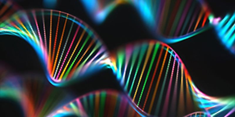 研究揭示:BRAF V600E突变非小细胞肺癌,一线免疫治疗生存获益超越靶向联合疗法