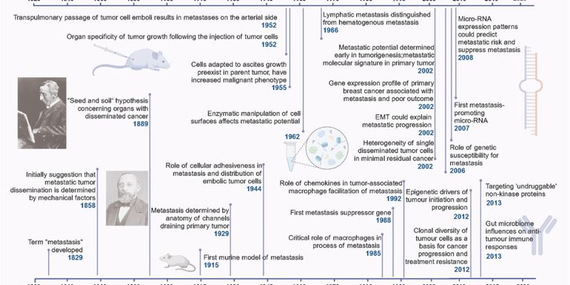 癌症转移：警惕5大身体警报，了解背后的科学与应对策略