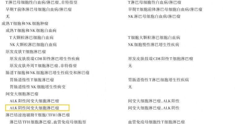 CD30阳性淋巴瘤诊断陷阱:如何用EBER检测区分EBV+ NT/NKCL与ALK阴性ALCL?
