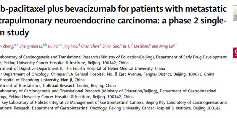 肺外神经内分泌癌治疗新希望：纳武紫杉醇联合贝伐珠单抗显著延长生存期，缓解率超50%