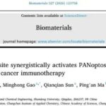 乳腺癌免疫治疗新突破：纳米生物材料激活“泛凋亡”，精准消灭肿瘤！