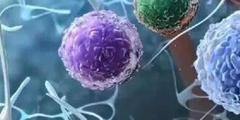 细胞疗法:癌症治疗的革命性突破?一文读懂干细胞与CAR-T