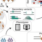 2025医学前沿速览：从黑色素瘤免疫疗法到再生医学的革命性突破