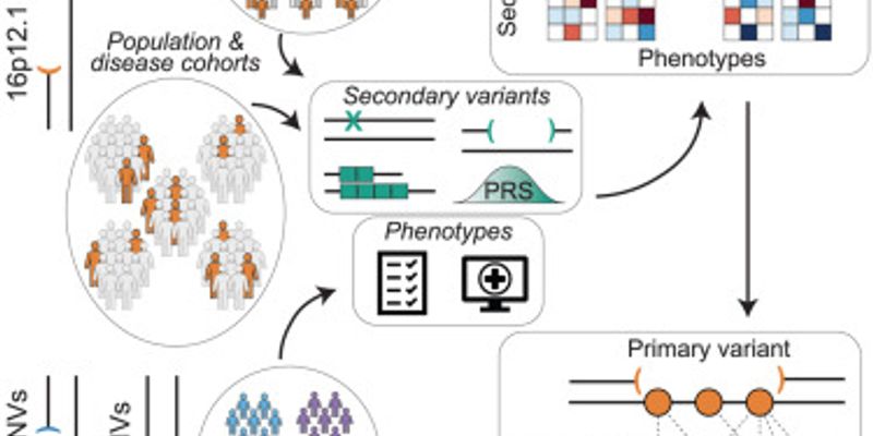 2025医学前沿速览:从黑色素瘤免疫疗法到再生医学的革命性突破