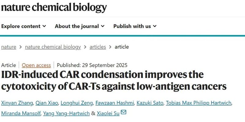 CAR-T疗法重大升级:耶鲁大学新研究破解低抗原难题,高效杀伤癌细胞