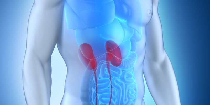 度伐利尤单抗联合BCG显著改善高危非肌层浸润性膀胱癌无病生存期