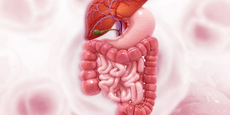 胃癌三线治疗新探索:瑞戈非尼联合纳武利尤单抗临床研究结果公布