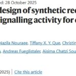 CAR-T疗法新突破：定制蛋白受体增强对肺癌等实体瘤的杀伤力