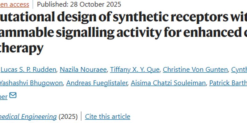 CAR-T疗法新突破:定制蛋白受体增强对肺癌等实体瘤的杀伤力