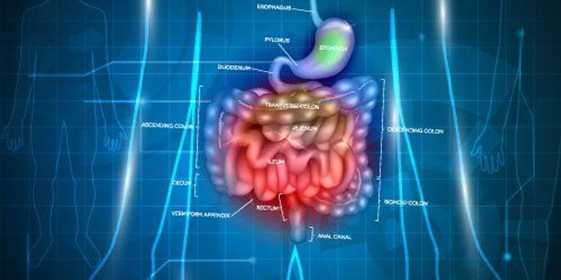 Pelareorep联合阿替利珠单抗治疗肛门癌：缓解率翻倍，带来新希望