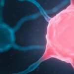 NUT癌新药ZEN-3694获FDA孤儿药认定，联合疗法临床试验进行中