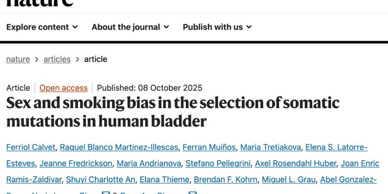 膀胱癌风险揭秘：Nature研究发现男性与吸烟者体内潜藏的“癌症种子”