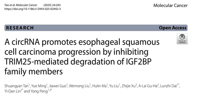 食管鳞癌治疗新方向:circLNF环状RNA被证实可促进肿瘤进展,或成关键治疗靶点
