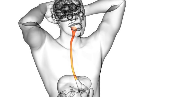 LEAP-014研究揭晓:仑伐替尼联合免疫化疗一线治疗晚期食管鳞癌,总生存期未获显著改善