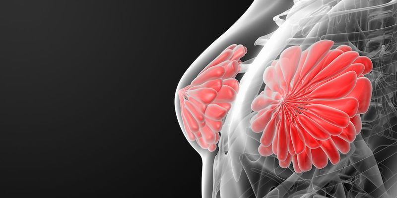 HER2阳性乳腺癌治疗新希望:德曲妥珠单抗新辅助疗法获FDA受理审查