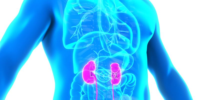 膀胱癌新辅助治疗突破：吉西他滨TAR-200联合疗法显著提高病理完全缓解率