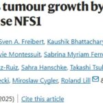 乳腺癌治疗新突破：D-半胱氨酸如何精准靶向并抑制肿瘤生长？