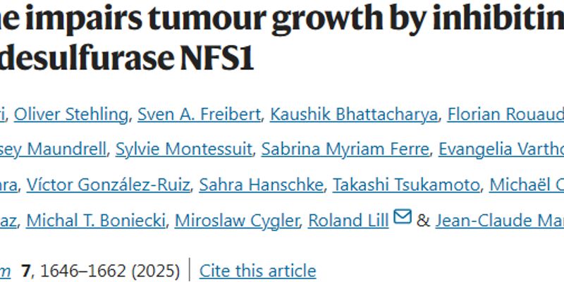 乳腺癌治疗新突破:D-半胱氨酸如何精准靶向并抑制肿瘤生长?