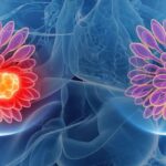 三阴性乳腺癌治疗新突破：ADC药物戈沙妥珠单抗等的疗效与用药顺序解析