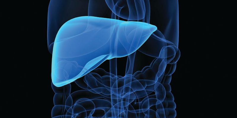 重磅!帕博利珠单抗+仑伐替尼治疗肝细胞癌三期研究失败,总生存期未获益