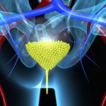 尿路上皮癌新希望：双特异性ADC药物AVZO-103获FDA快速通道资格