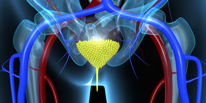 尿路上皮癌新希望：双特异性ADC药物AVZO-103获FDA快速通道资格