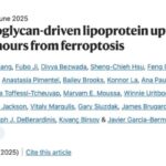 维生素会“喂养”癌细胞？Nature研究警示：维生素E、B3、B5或加速肿瘤生长与转移
