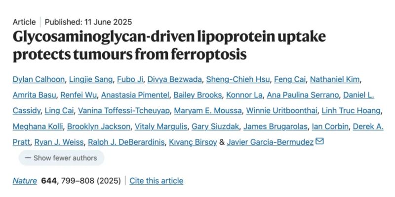 维生素会“喂养”癌细胞？Nature研究警示：维生素E、B3、B5或加速肿瘤生长与转移