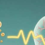 干细胞治疗脊髓损伤：全面对比间充质与神经干细胞的临床疗效