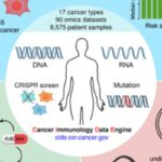 《细胞》重磅发现：AOAH如何增强免疫疗法，为多种晚期癌症带来新希望？
