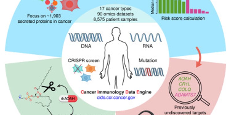 《细胞》重磅发现：AOAH如何增强免疫疗法，为多种晚期癌症带来新希望？