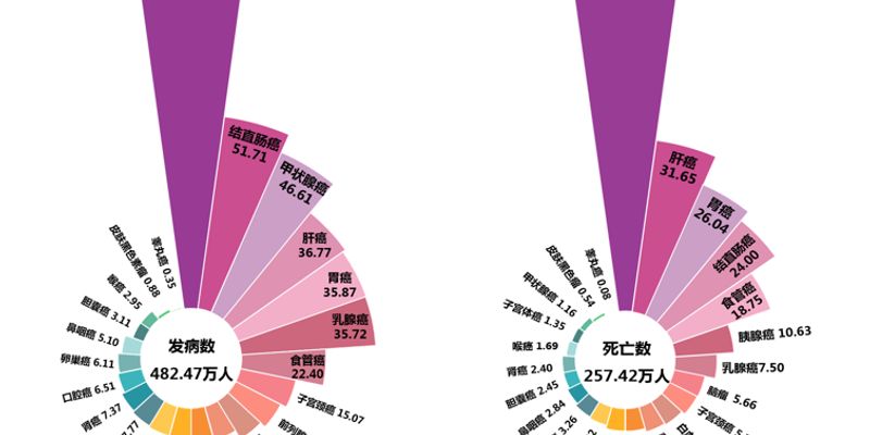 胰腺癌精准治疗指南：从KRAS到NRG1，基因检测如何指导靶向药选择