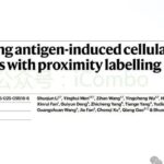 《自然》重磅：PATCH技术破解肿瘤免疫难题，强力激活T细胞精准抗癌