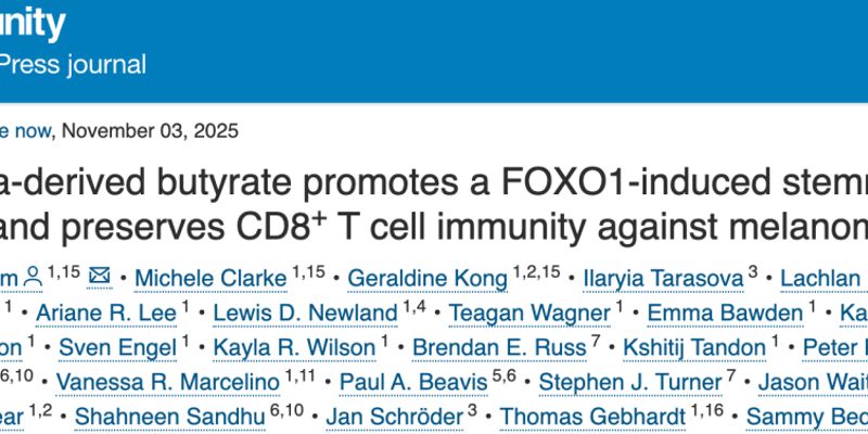 膳食纤维如何助力抗癌？新研究揭示其可增强黑色素瘤免疫治疗效果