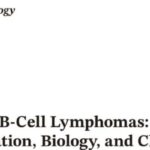 皮肤B细胞淋巴瘤治疗方案全解析：不同亚型（PCFCL/PCDLBCL-LT）的诊断与药物选择