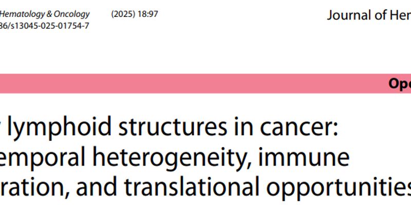 肿瘤免疫治疗新突破：揭秘三级淋巴结构（TLS）如何决定疗效成败？