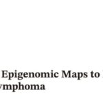 攻克成人T细胞白血病/淋巴瘤（ATL）：全面解读基因异常与前沿治疗新策略