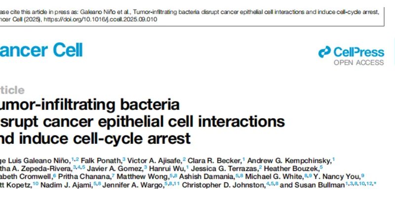 化疗耐药新解：肿瘤内细菌竟是“帮凶”，通过物理挤压诱导癌细胞休眠