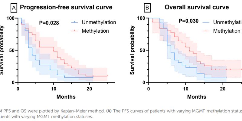 贝伐珠单抗治疗高级别胶质瘤：MGMT甲基化状态或成疗效关键预测指标